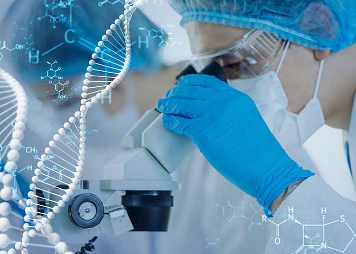 Stem cell Therapy